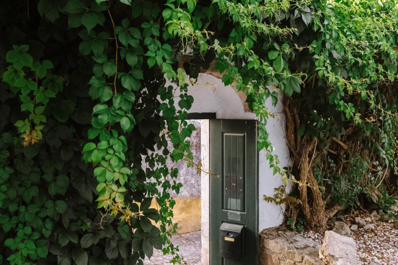 Casa Antonio Moreira Obidos Exterior photo